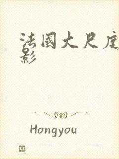 法国大尺度的电影