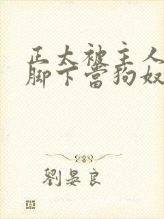 正太被主人踩在脚下当狗奴的小说