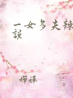 一女多夫辣文小说