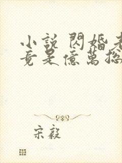 小说 闪婚老公竟是亿万总裁