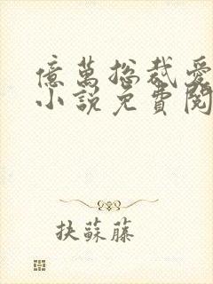 亿万总裁爱上我小说免费阅读全文