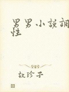 男男小说调教双性