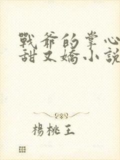 战爷的掌心宠又甜又娇小说在线阅读