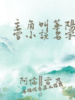 主角叫华阳江映雪小说名字