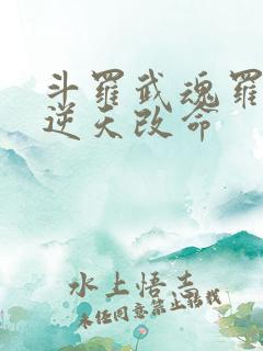 斗罗武魂罗三炮逆天改命