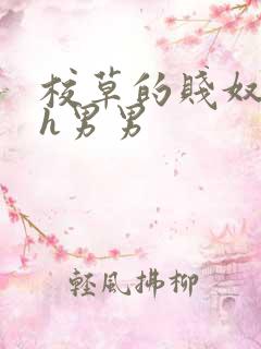 校草的贱奴生活h男男