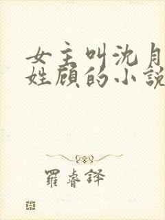 女主叫沈月男主姓顾的小说