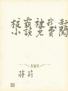 校霸被我赶透了小说免费阅读