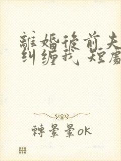 离婚后前夫总想纠缠我 短剧