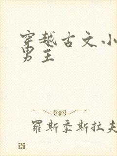 穿越古文小说双男主