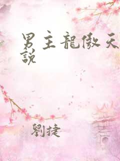 男主龙傲天的小说