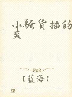 小骚货插的爽不爽