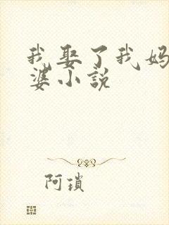 我娶了我妈当老婆小说