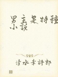 男主是特种兵的小说