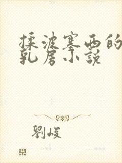 揉波塞西的大白乳房小说