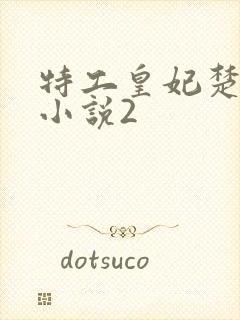 特工皇妃楚乔传小说2