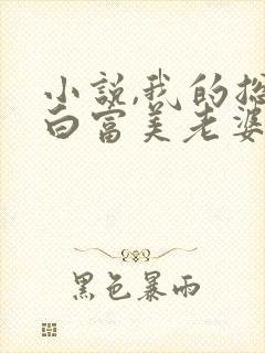 小说,我的总裁白富美老婆