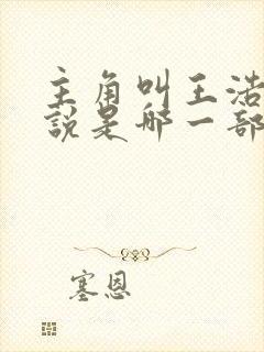 主角叫王浩的小说是哪一部