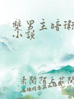 双男主暗卫受的小说