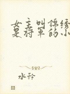 女主叫锦绣男主是将军的小说