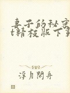 妻子的秘密txt精校版下载