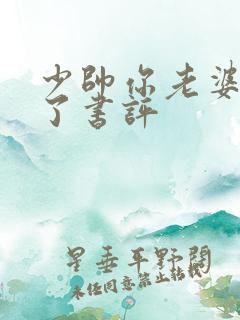 少帅你老婆又跑了书评