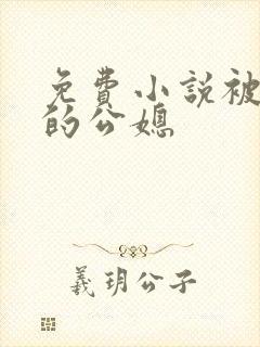 免费小说被窝里的公媳