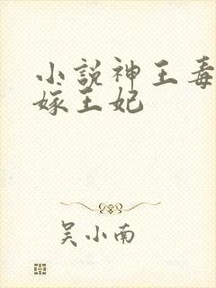 小说神王毒宠二嫁王妃
