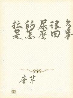 拉的尿很多泡泡是怎么回事