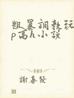 粗暴调教玩弄np高h小说