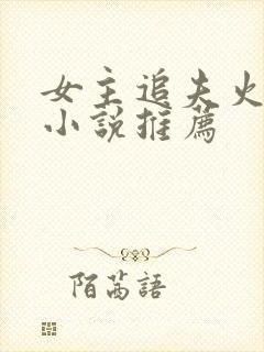 女主追夫火葬场小说推荐