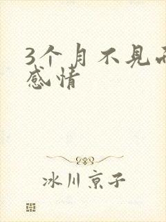 3个月不见面的感情