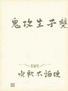 鬼攻生子双男主