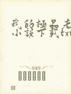 我的极品老婆 小说下载txt