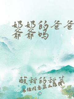 奶奶的爸爸叫太爷爷吗