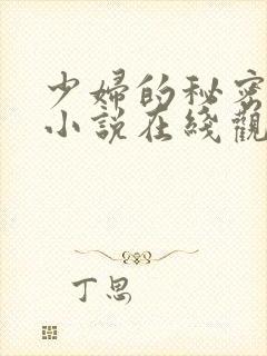 少妇的秘密程琳小说在线观看全集