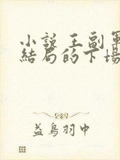 小说 王副军长结局的下场
