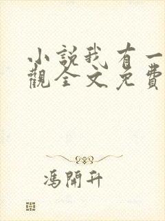 小说我有一剑叶观全文免费阅读