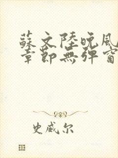 苏文陆晚风最新章节无弹窗笔趣阁