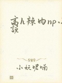 高h辣肉np小说