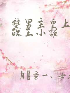 双男主皇上和摄政王小说