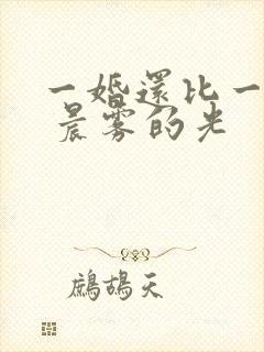 一婚还比一婚高 晨雾的光