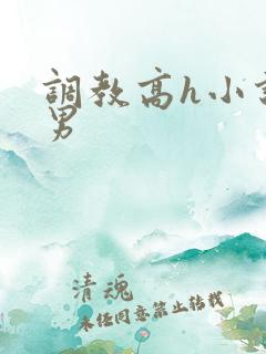 调教高h小说男男