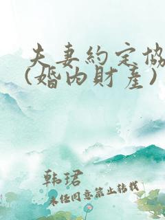 夫妻约定协议书(婚内财产)