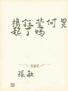 杨钰莹何炅在一起了吗