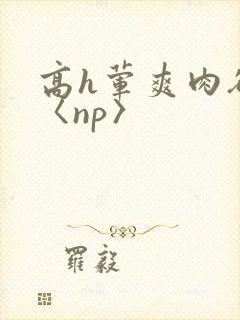 高h荤爽肉欲文〈np〉