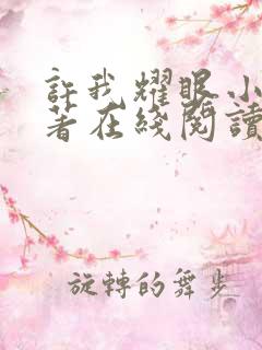 许我耀眼小说原著在线阅读