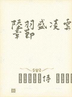 陆羽盛凌云最新章节