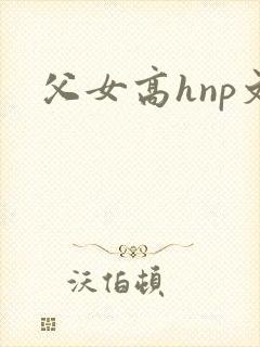 父女高hnp文