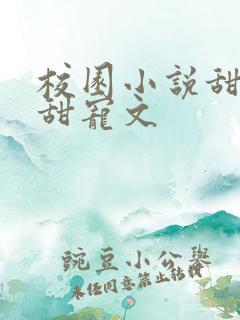 校园小说甜甜的甜宠文